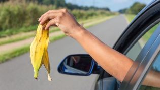 Can I throw apple cores and banana peels out of the car window?